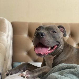 Meet your Posher, Cassie